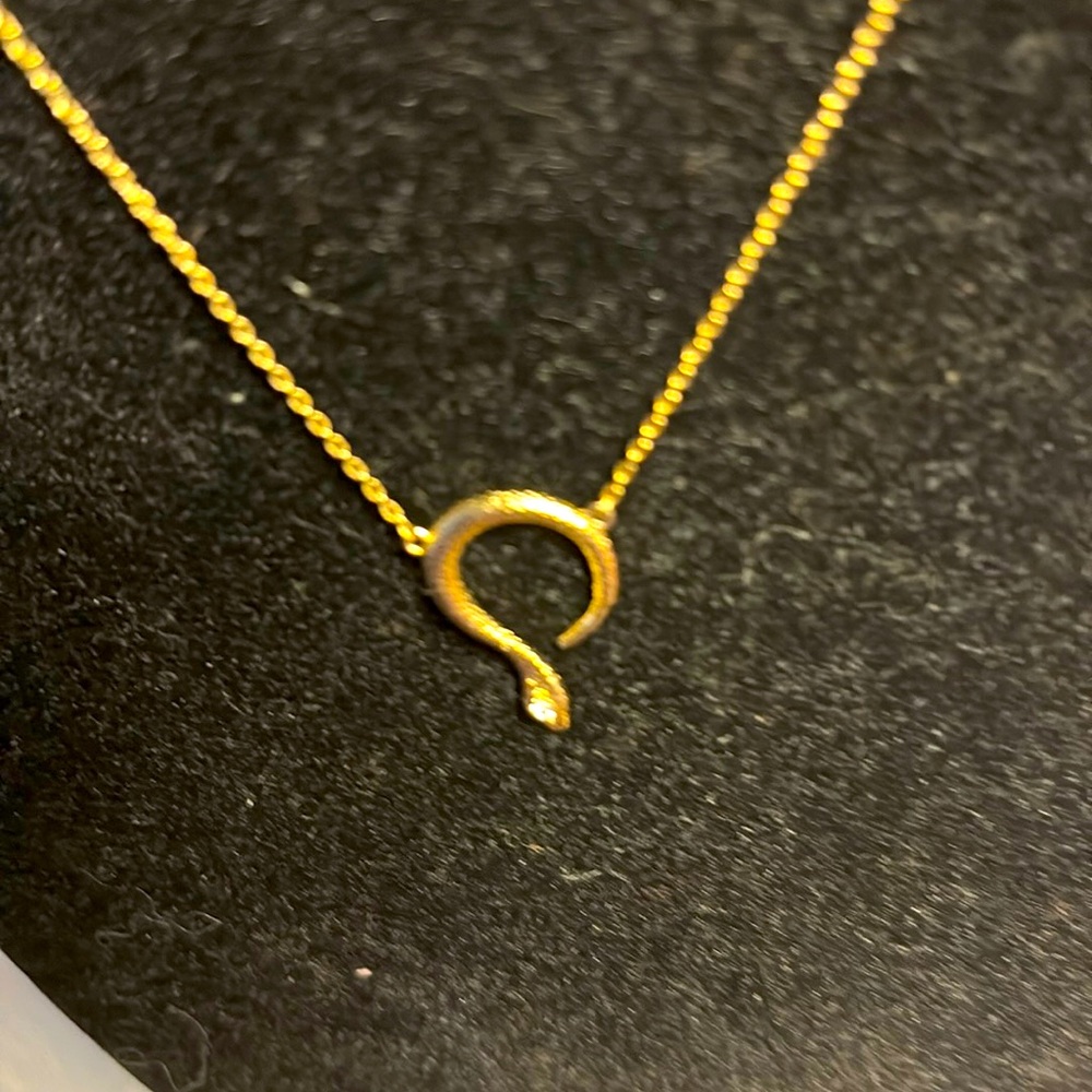 ( Any 2 for $12) Silver-tone serpent necklace